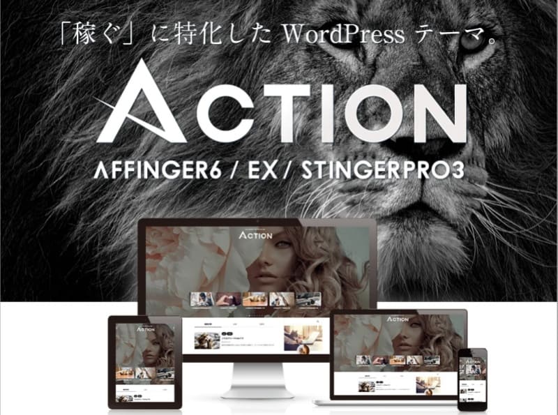 ACTION/AFFINGER6