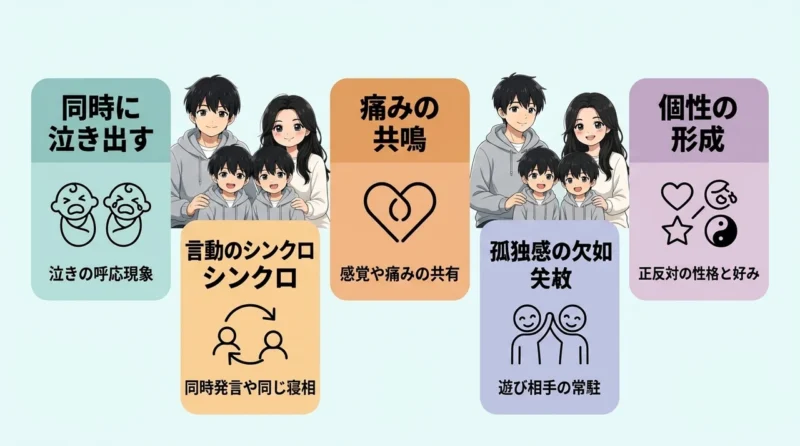 双子の不思議な絆とシンクロ現象